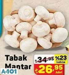 TABAK MANTAR TABAK MANTAR